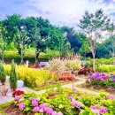 다온숲어린이집 이미지