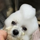 샵 세린파크 이미지