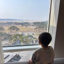 베스킨라빈스동산점 | 다섯살 아이와 단둘이 호캉스 파라다이스시티호텔 실내수영장과 푸드코트 저녁