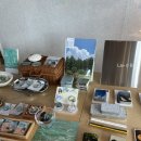 (야간)반려동물 의류 소품제작 | 제주,서귀포 무인 소품샵 “르데(LEDE)”, “시키 (CEEKEE)“방문후기 | 내돈내산