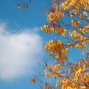 연제구-138 이미지