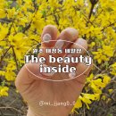 The Beauty #(더 뷰티 샵)