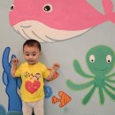 플레이213 키즈카페 이미지