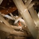 수정-109 이미지