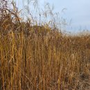 열린행정사사무소 이미지