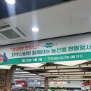 GS25 영월터미널점 | 영월 하나로마트에서 만난 강원도 지역 소백산생막걸리, 동강좁쌀생막걸리, 동강생막걸리, 사임당메일...