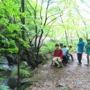 새소리 물소리 이미지