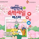 국가대표펜션B | 숙박세일페스트 신청 방법과 2026 할인 혜택 및 직접 다녀온 찐후기