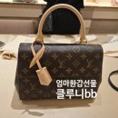 엄마 환갑선물 루이비통가방 구매 클루니bb 영등포신세계 할인방법