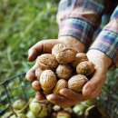 박종훈농장 이미지