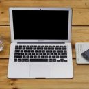 나무랑 풀이랑 이미지