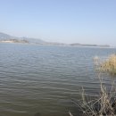 와수초등학교 | 대호만 배스 낚시 / 아부가르시아 볼틱 베이트릴 실사용 후기 (봄 시즌 조행기)