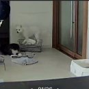 모뗀여자
