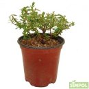 아소농장 이미지