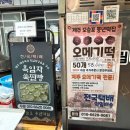 중로1-193, 중로 2 | 제주여행 3박4일 가족여행 2일차일정 맛집 숙소추천 휘닉스 아일랜드