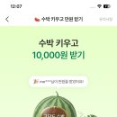 에이블리 수박키우고 현금 만원 받기 이미지