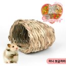 블루미니