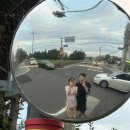 하귤소담 이미지