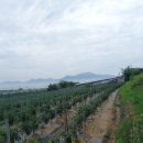 남해-311 이미지