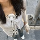 박*만 이미지