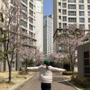 21세기미소내과의원 네이버블로그