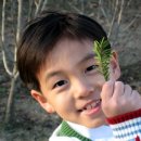 동현ENG Daum카페