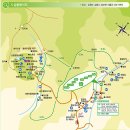 대관령자연휴양림 이미지