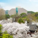 소노문 단양 이미지