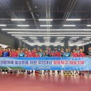 힐링탁구 이미지