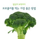 브로콜리