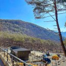 STX오토캠핑장 | 문경 가족캠핑 문경 STX오토캠핑장 온천 리뷰