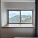 천지연폭포 | 반려견동반숙소 헤이서귀포 오션뷰 천지연폭포뷰 숙박 후기