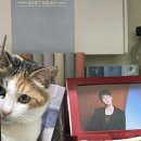 치킨플러스 홍성점 이미지