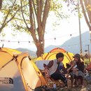 잉카마야박물관캠핑장 이미지