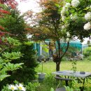 신정호야외음악당 이미지