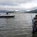 연어의고향 이미지