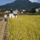 곡성농협연합미곡처리장 이미지