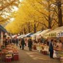 명개리(간이) 이미지