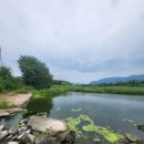 청도천3 이미지