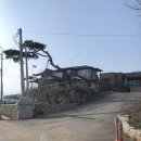 불은면-8 | 강화도 아이랑 가기 좋은 가족 독채 펜션 낑깡이네 후기 (애견 동반 가능)