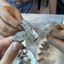 백호상회 이미지