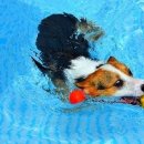 굿프랜드 이미지