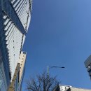 연세메디노블의원 이미지