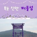 퍼플샵 이미지