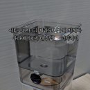 그린에어로빅 이미지