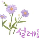 설레임공인중개사사무소 이미지