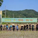 본량초등학교 이미지