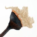 손톱이예술