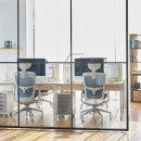 데코라인 이미지