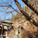 정선 자연속으로 펜션 이미지